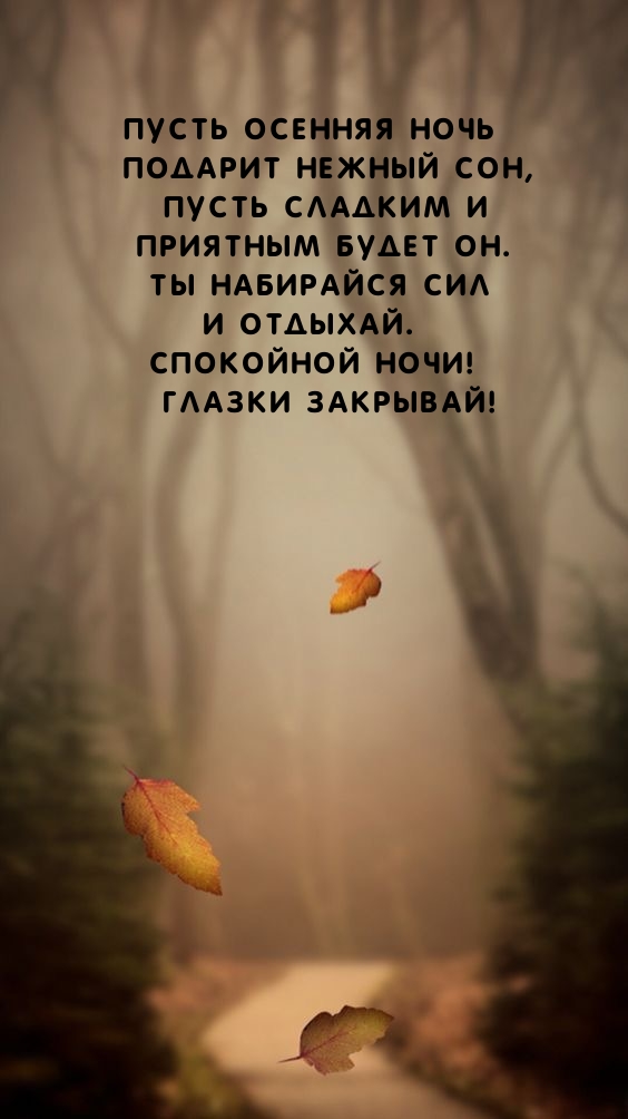 Пусть осенняя ночь подарит нежный сон, сладким и приятным будет он.