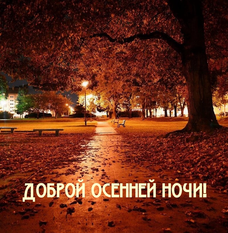 Доброй осенней ночи!