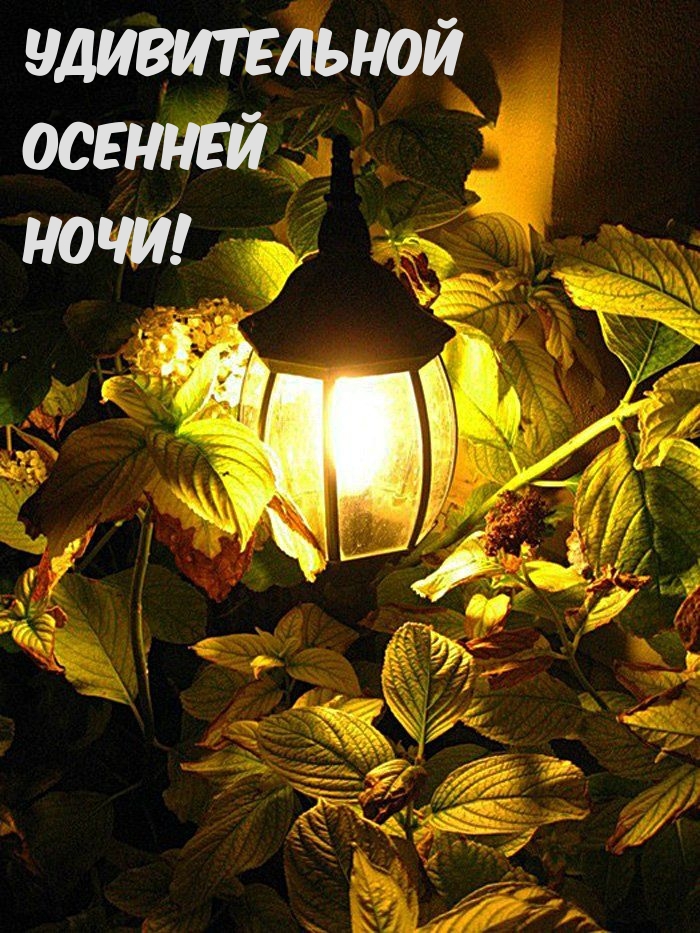Удивительной Осенней Ночи!