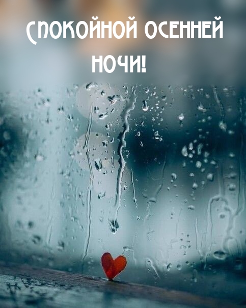 Спокойной осенней ночи!