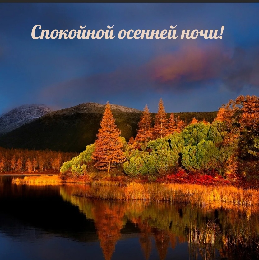 Спокойной осенней ночи!