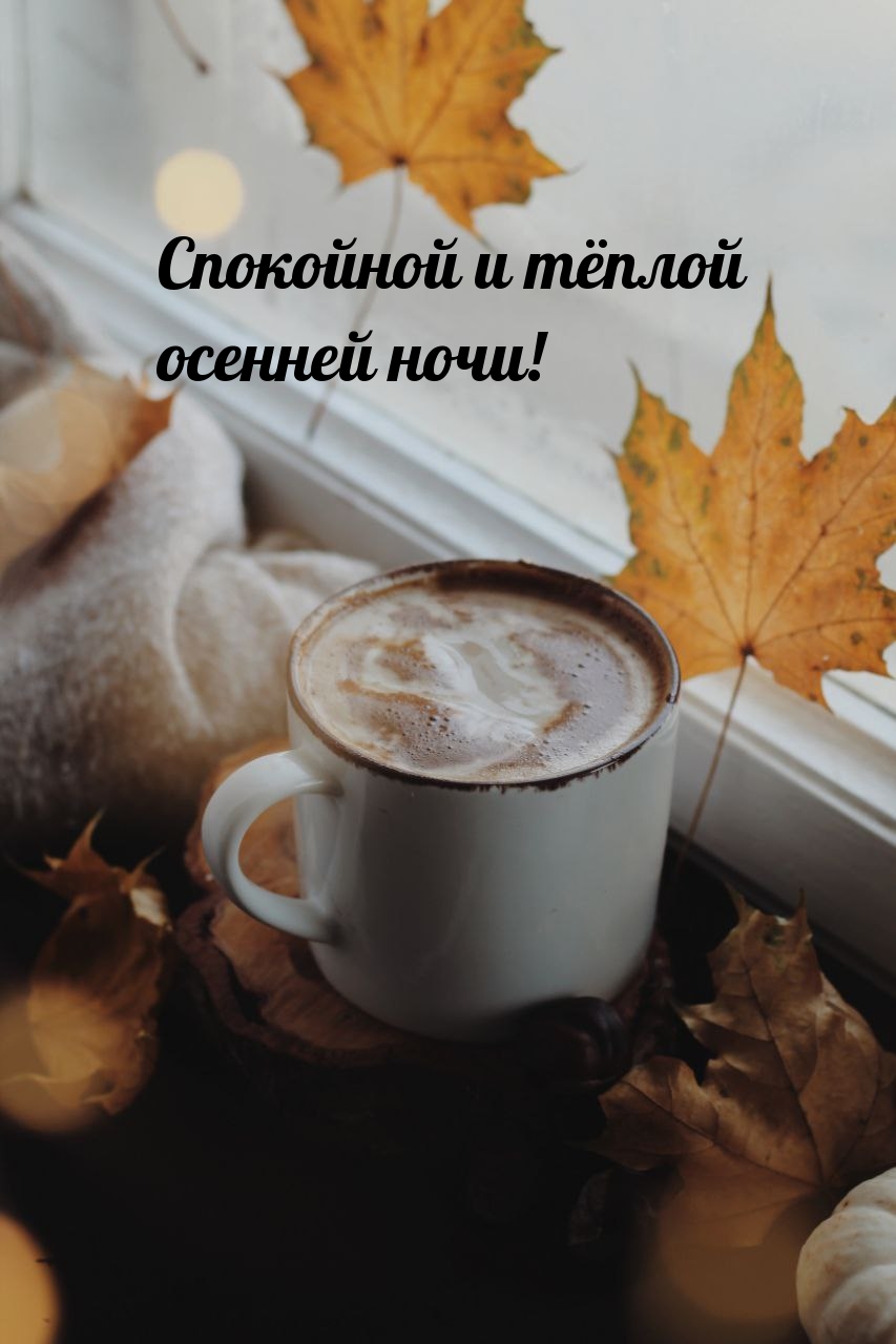 Спокойной и тёплой осенней ночи!