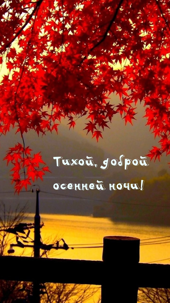 Тихой, доброй осенней ночи!