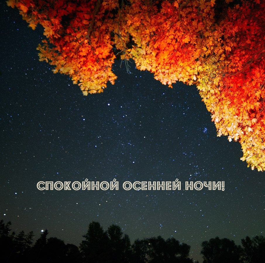 Спокойной осенней ночи!