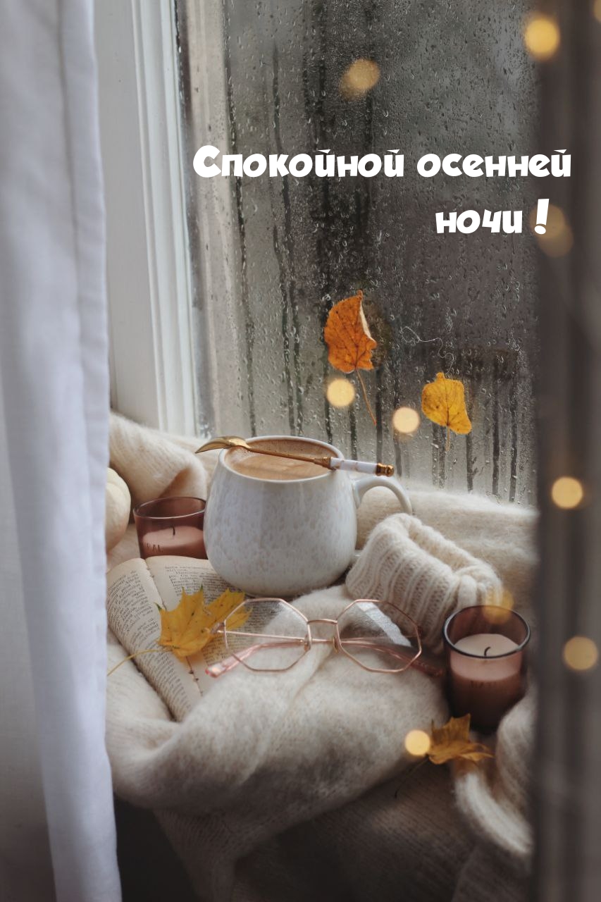 Спокойной осенней ночи! 