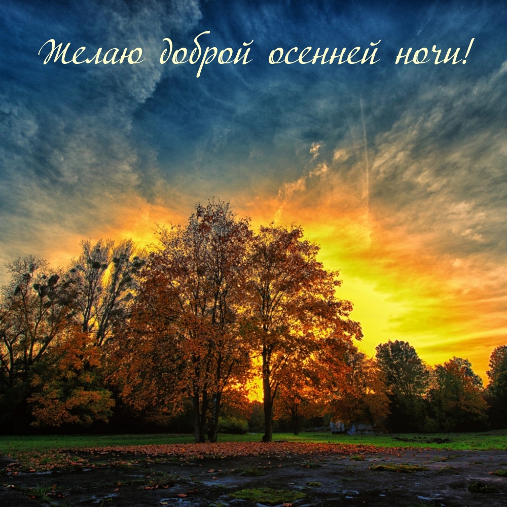 Желаю доброй осенней ночи!