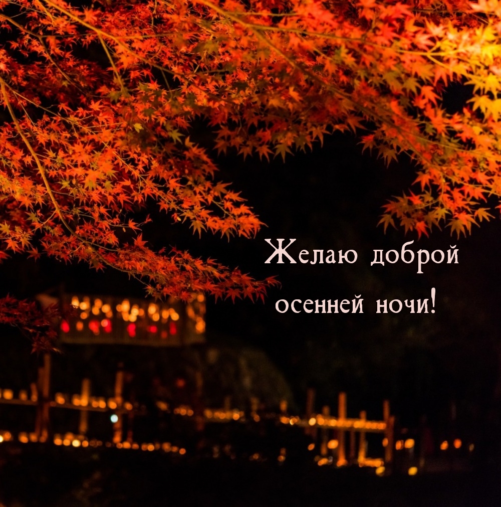 Желаю доброй осенней ночи!