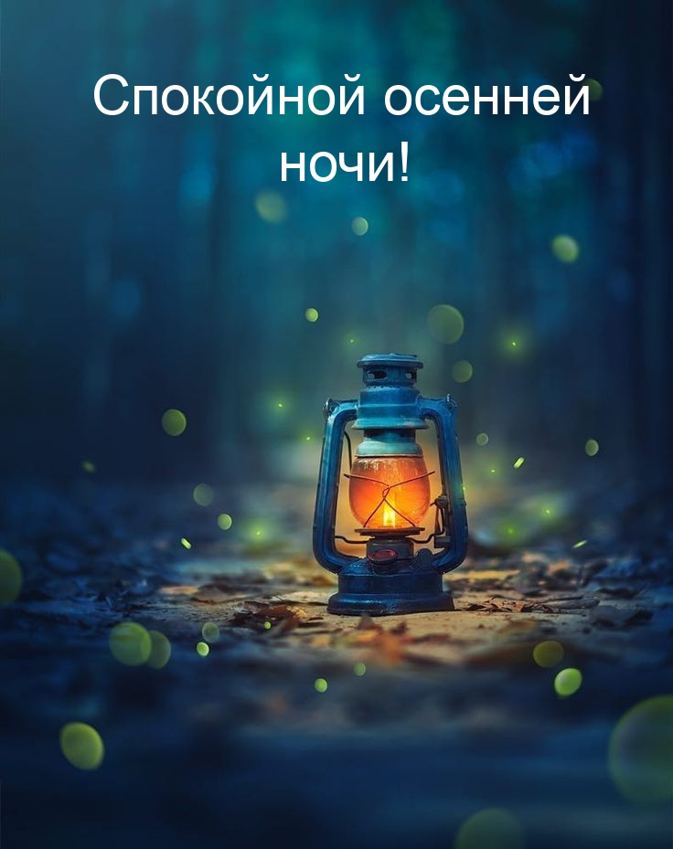 Спокойной осенней ночи!