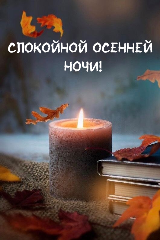 Спокойной осенней ночи!