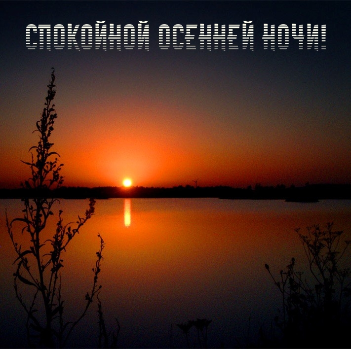 Спокойной осенней ночи!