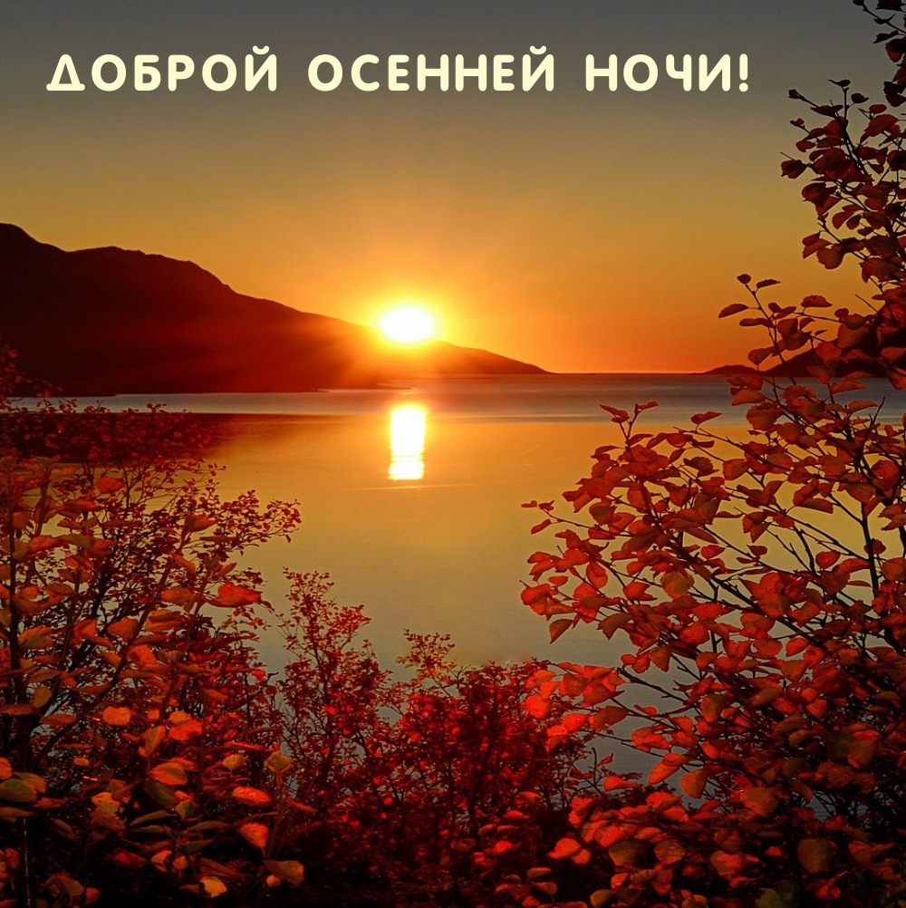 Доброй осенней ночи!
