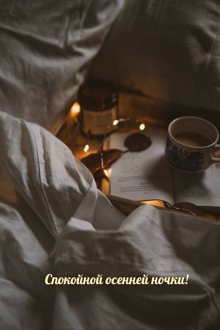Спокойной осенней ночки!