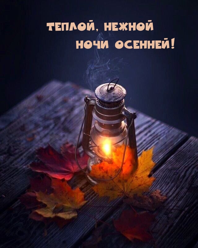 Теплой, нежной Ночи осенней!