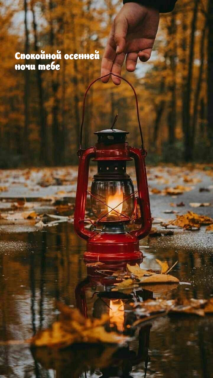 Спокойной осенней ночи тебе