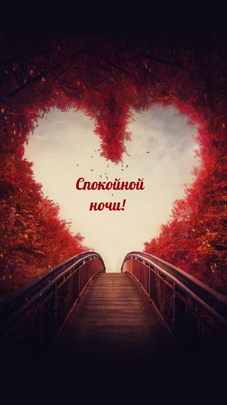 Спокойной ночи!