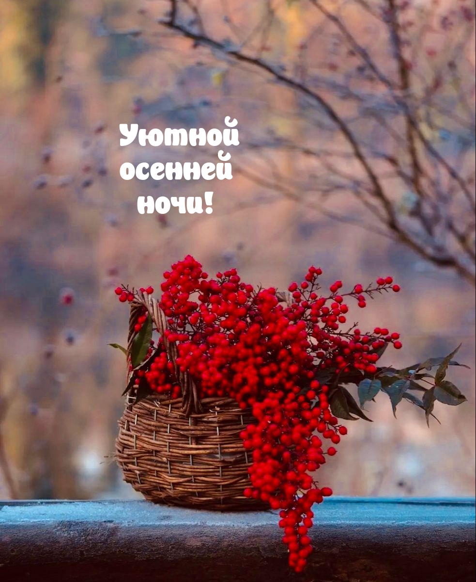 Уютной осенней ночи!