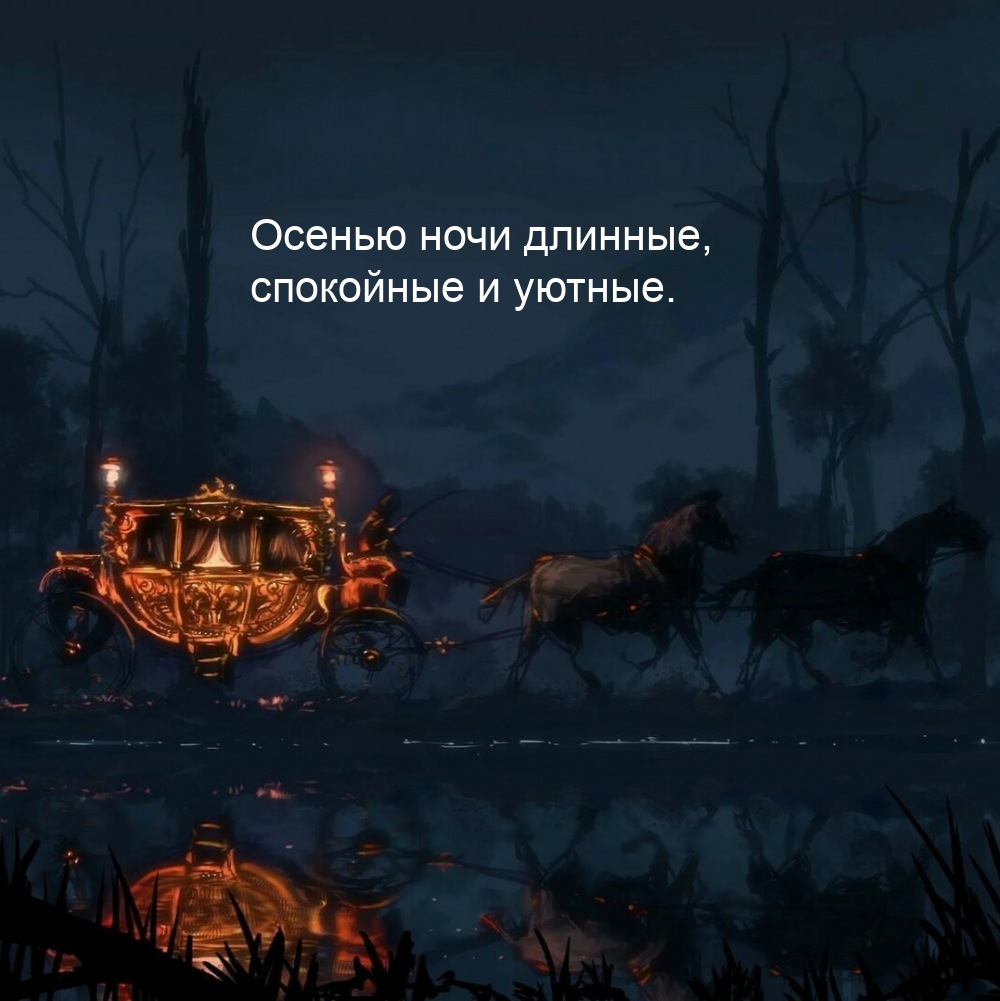 Осенью ночи длинные, спокойные и уютные.