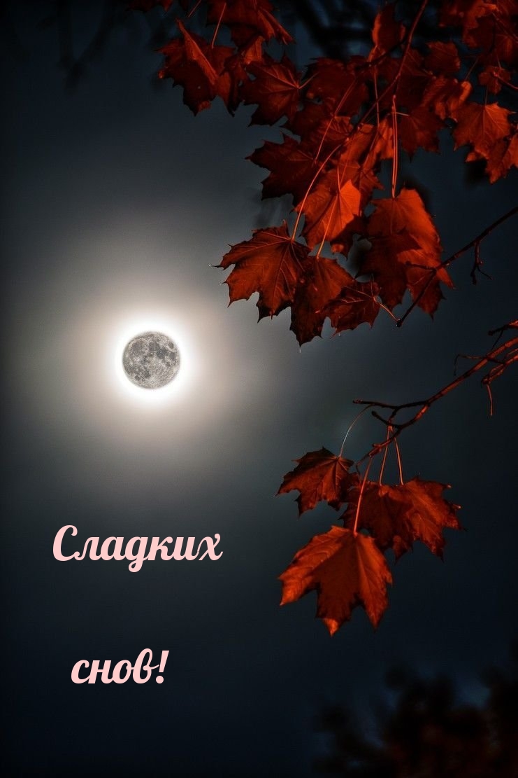 Сладких снов!