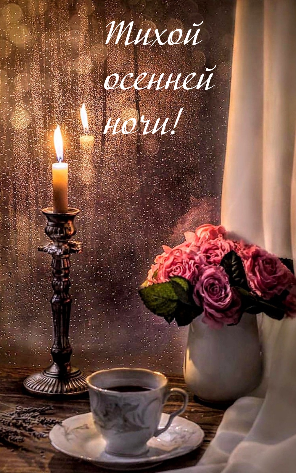 Тихой осенней ночи!