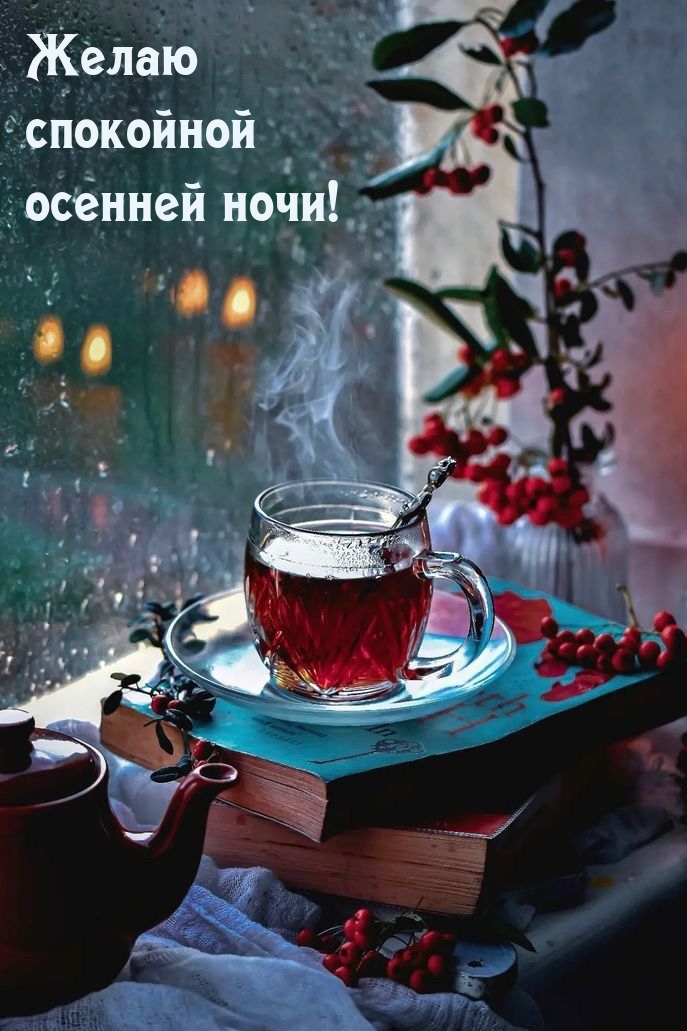 Желаю спокойной осенней ночи!