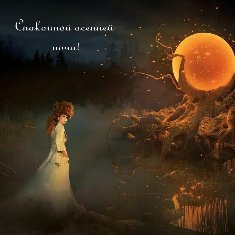 Спокойной осенней ночи!
