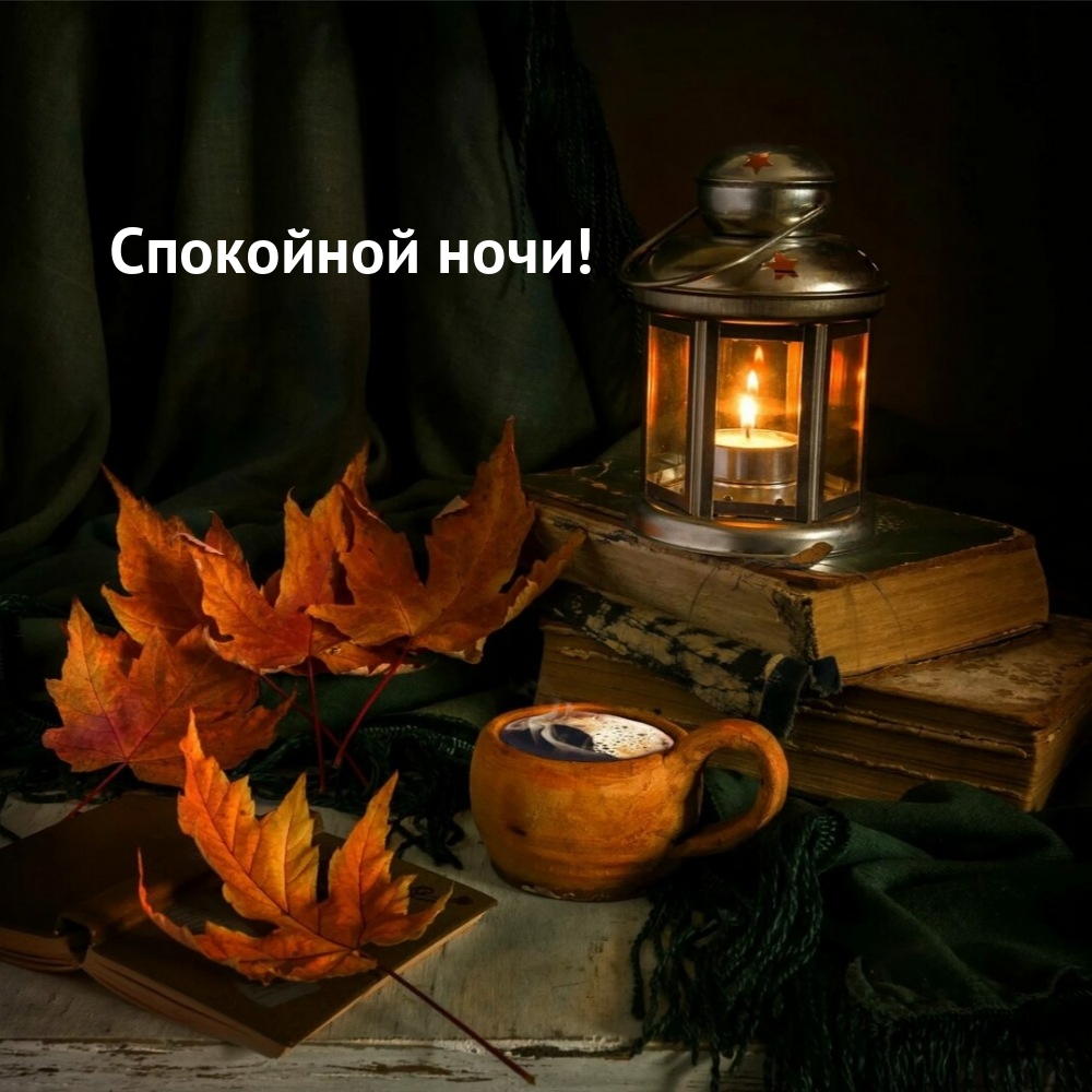 Спокойной ночи!