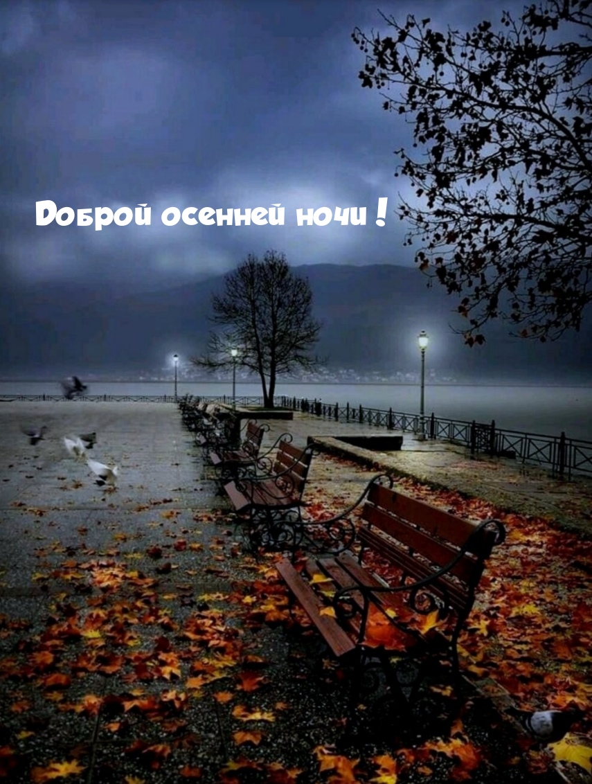 Доброй осенней ночи!