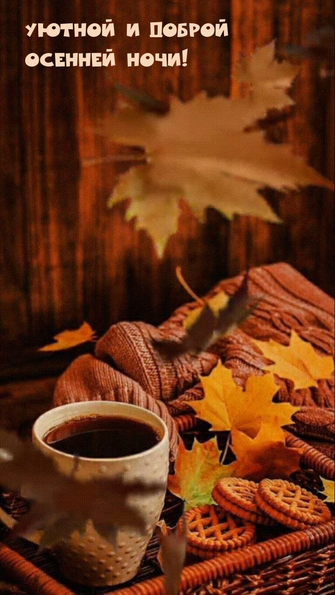 Уютной и доброй осенней ночи!
