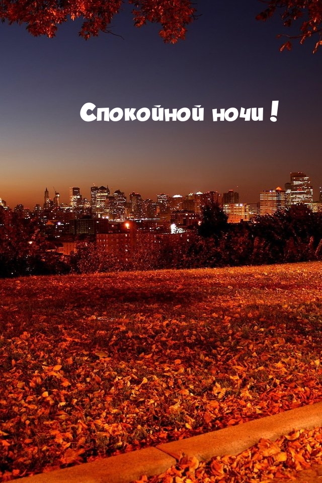 Спокойной ночи!