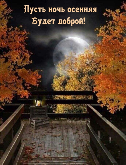 Пусть ночь осенняя будет доброй!