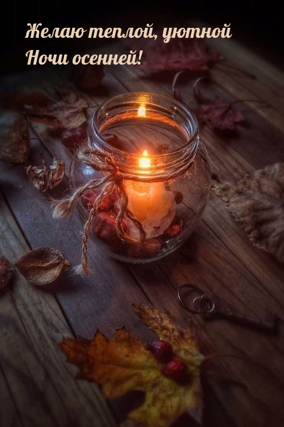 Желаю теплой, уютной ночи осенней!