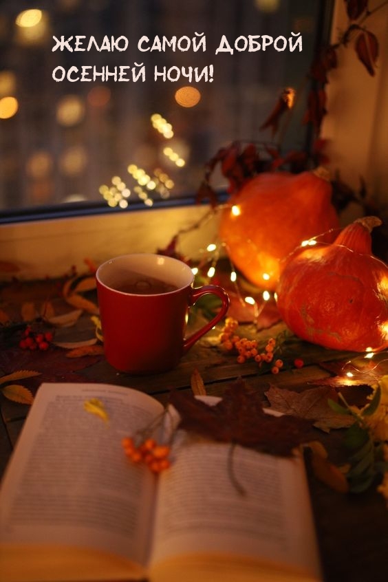 Желаю самой доброй Осенней ночи!