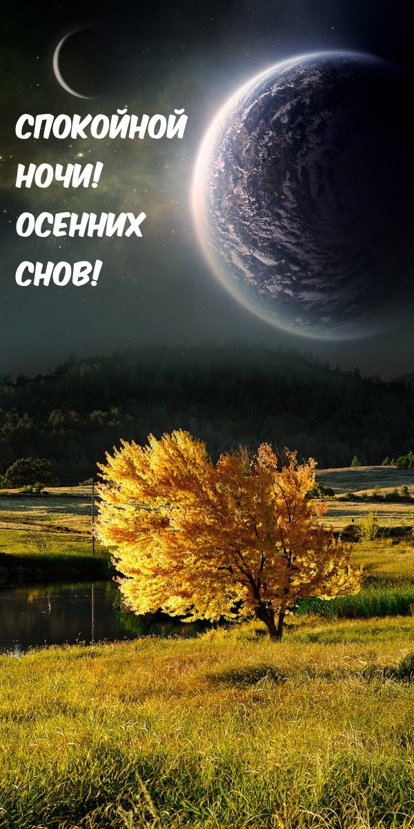 Спокойной ночи! Осенних снов!