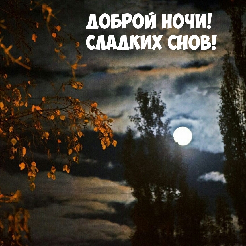 Доброй ночи! Сладких снов!
