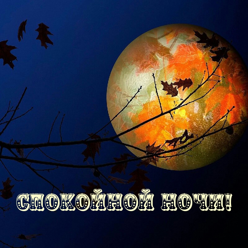 Спокойной ночи!