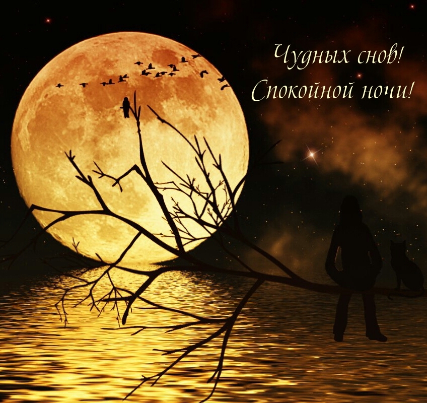 Чудных снов! Спокойной ночи!