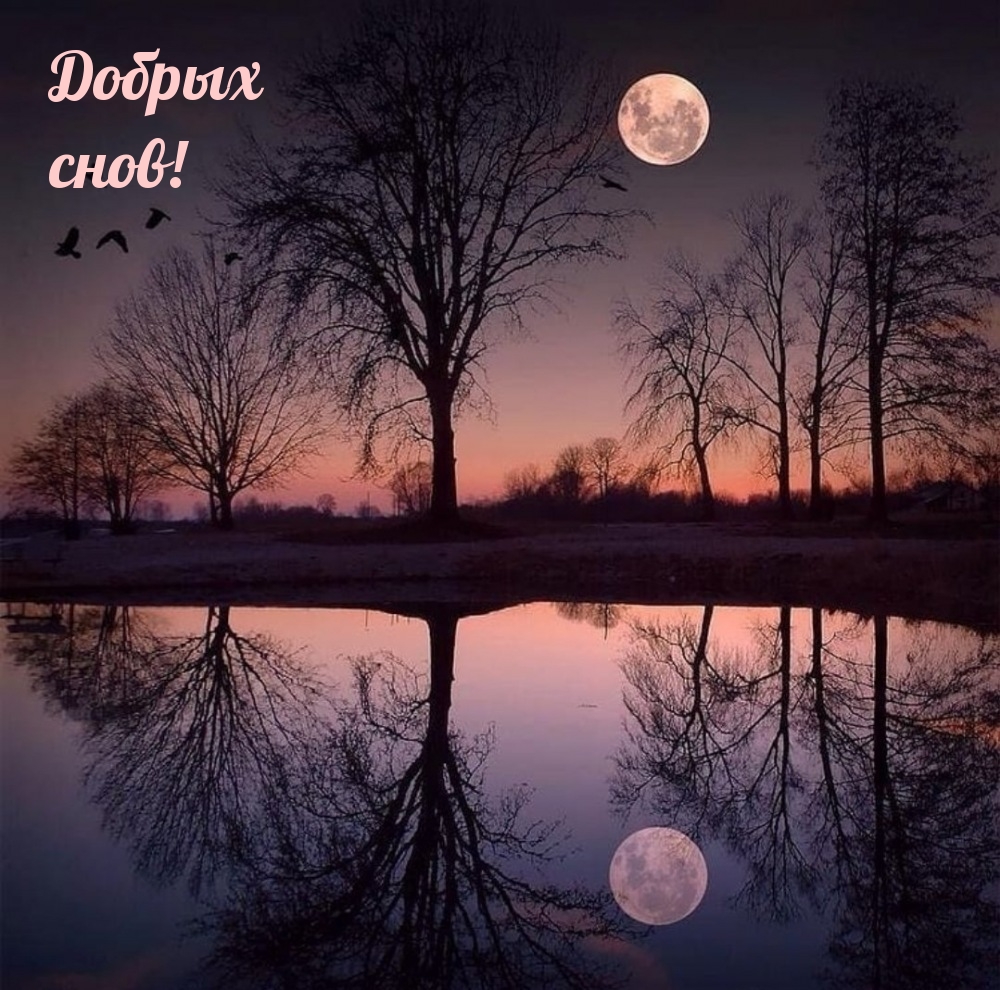 Добрых снов!