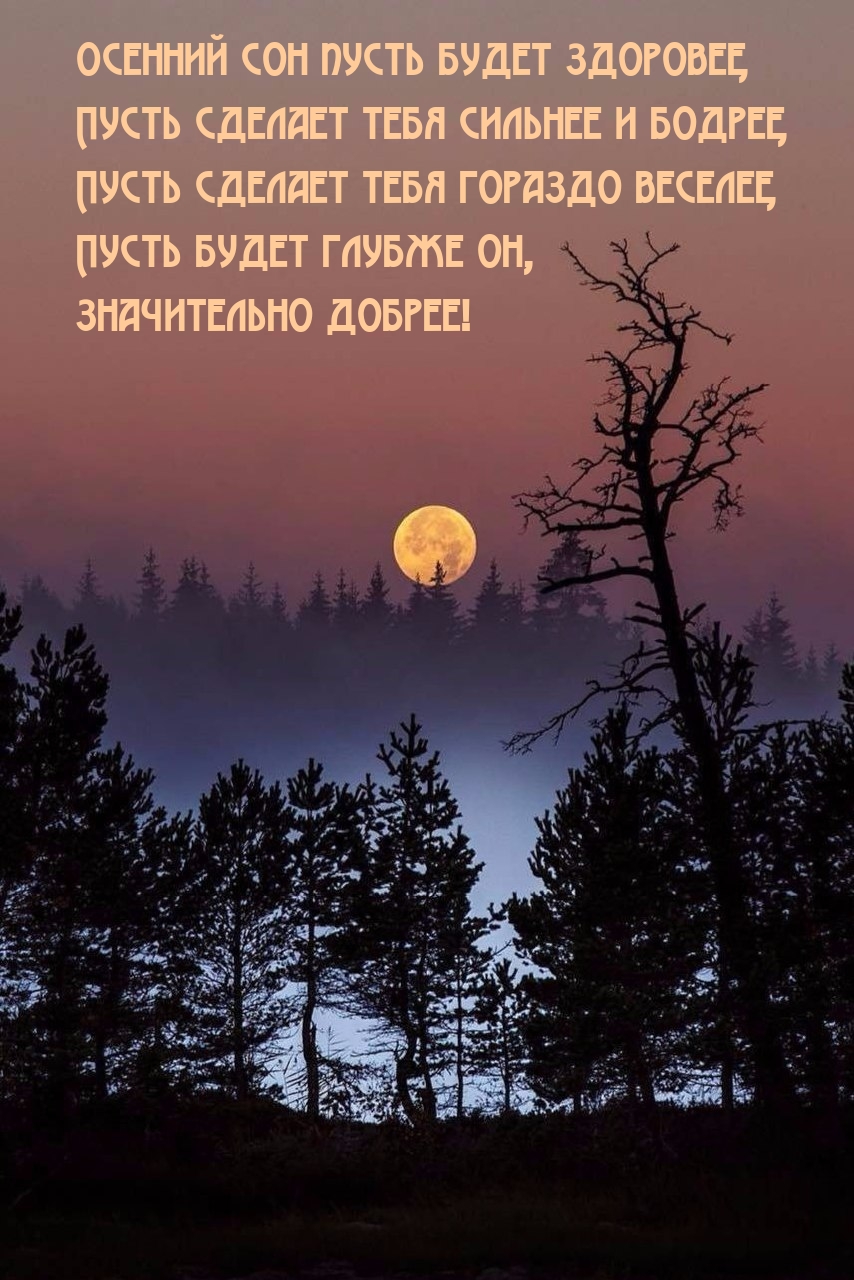 Пусть будет глубже сон, значительно добрее!