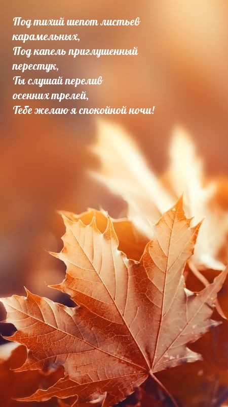 Ты слушай перелив осенних трелей, желаю я спокойной ночи!