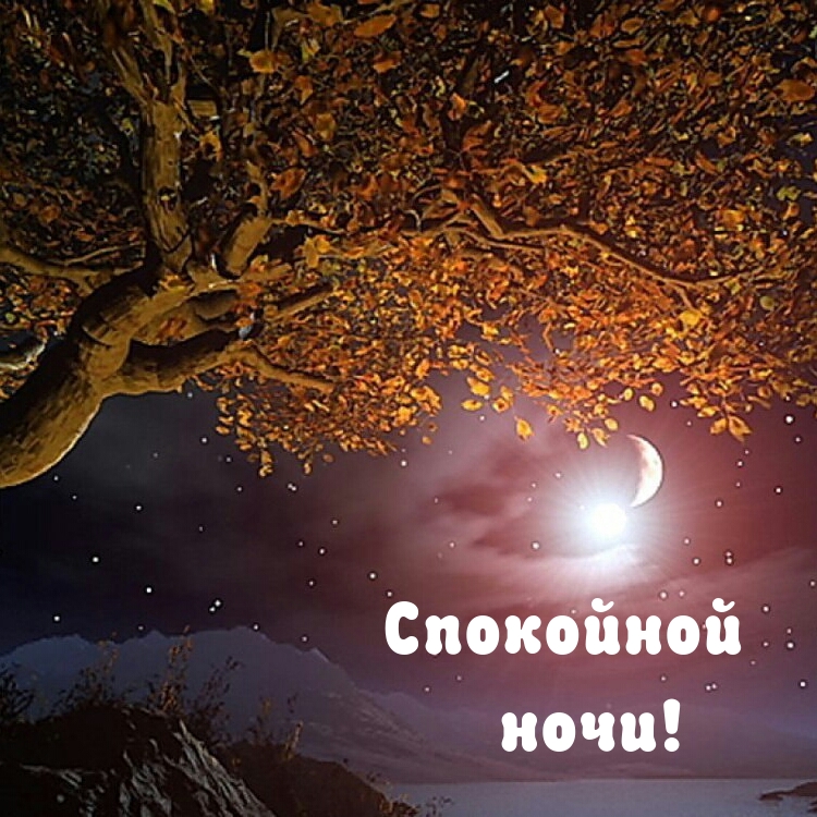 Спокойной ночи!
