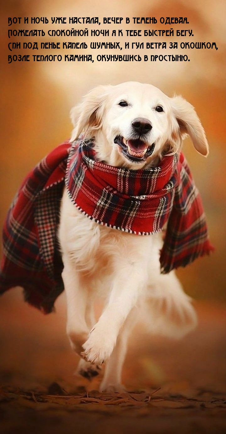 Вот и ночь уже настала, вечер в темень одевая.