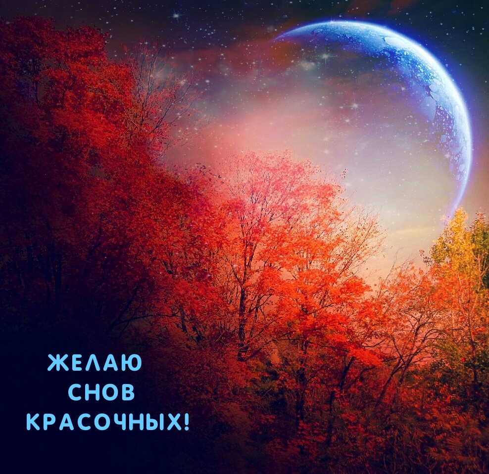 Желаю снов красочных!