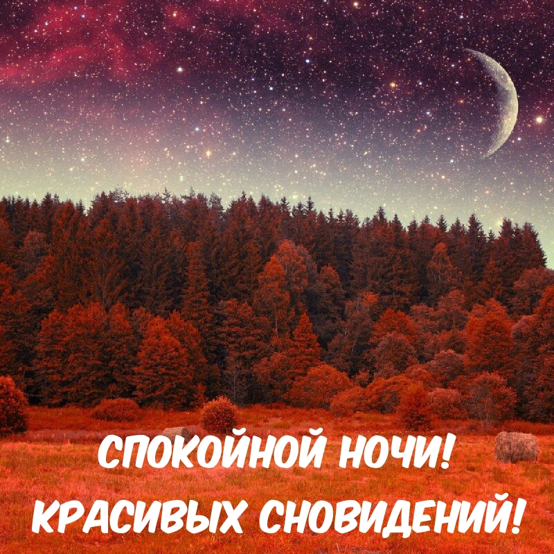Спокойной ночи! Красивых сновидений!