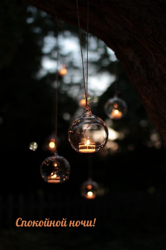 Спокойной ночи!