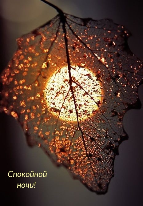 Спокойной ночи!