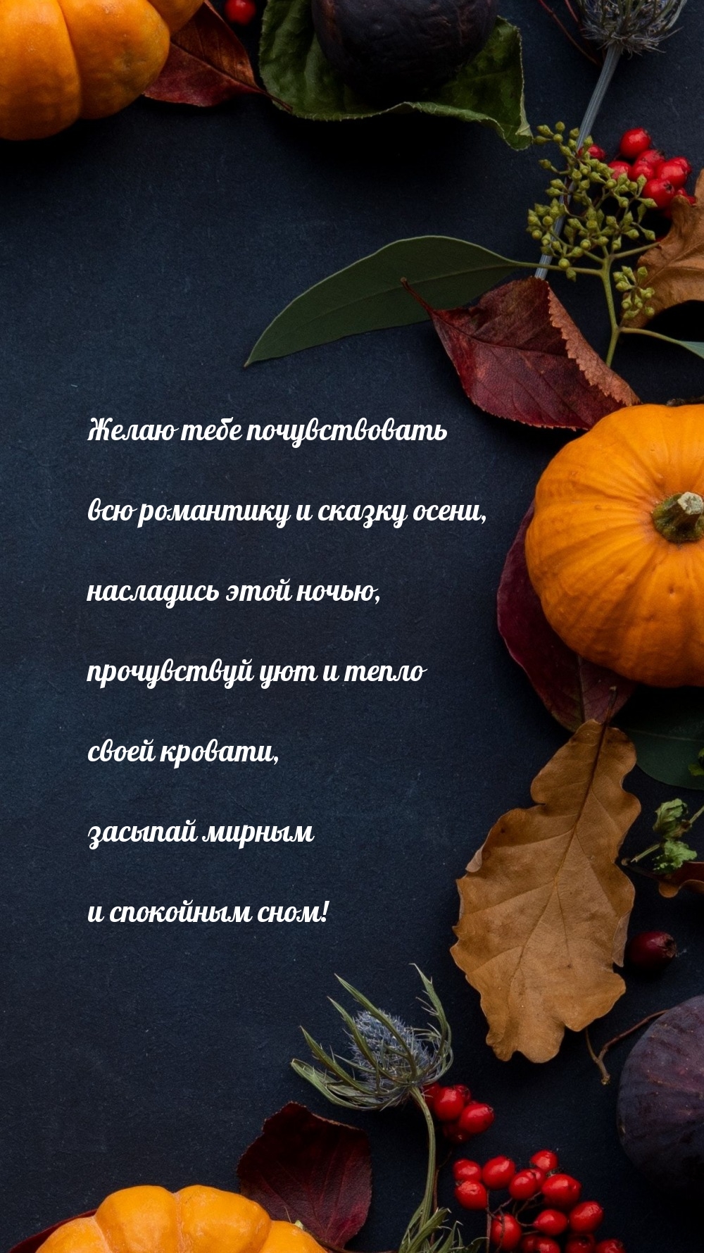 Желаю тебе почувствовать всю романтику и сказку осени
