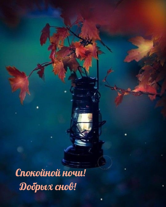 Спокойной ночи! Добрых снов!