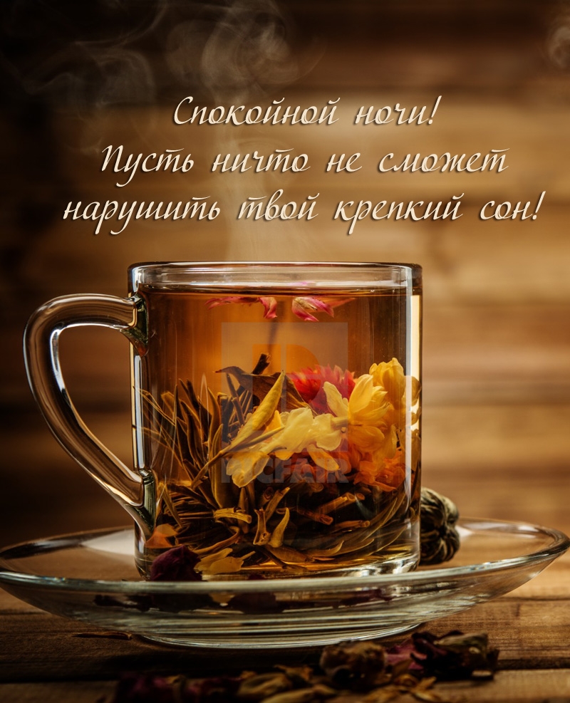 Спокойной ночи! Пусть ничто не сможет нарушить твой крепкий сон!