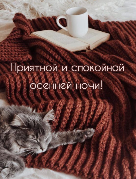 Желаю приятной и спокойной осенней ночи! 