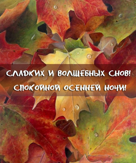 Сладких и волшебных снов! Спокойной осенней ночи! 